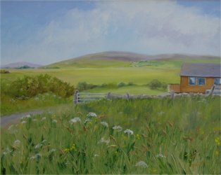 Pastures, Orkney